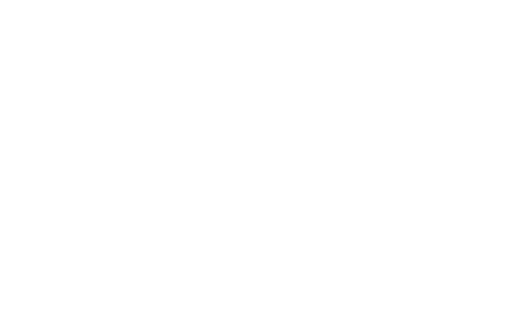 THE ORIENT KOBE