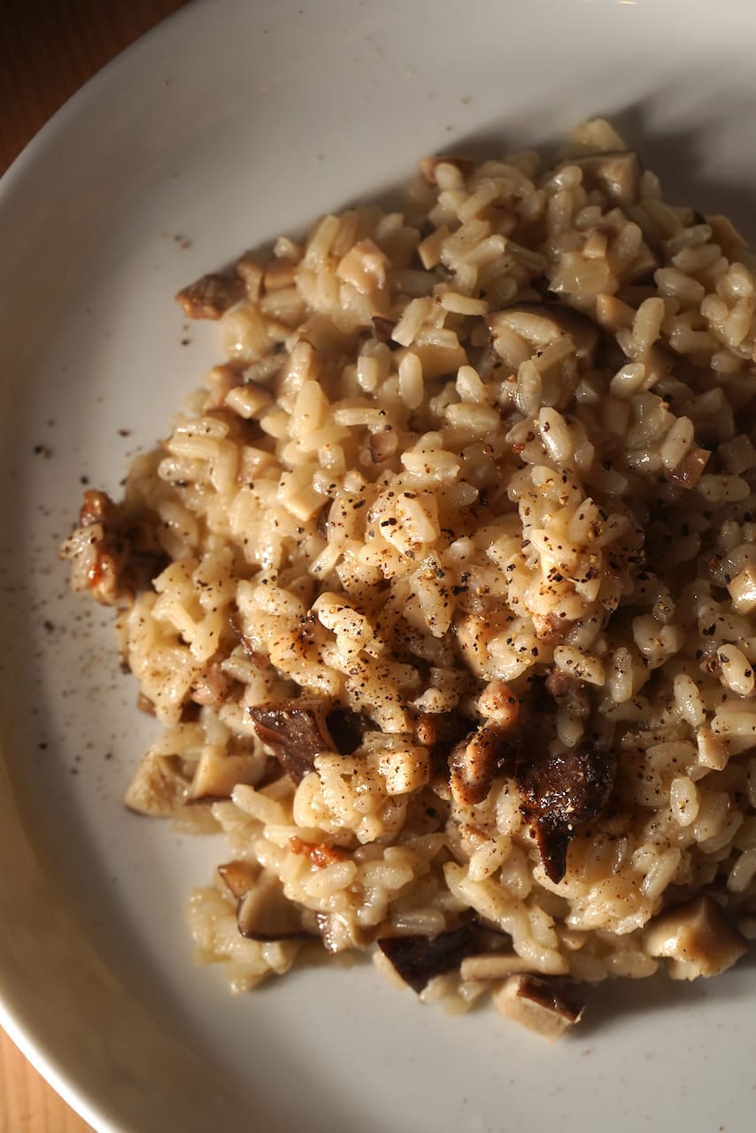 田上きのこ 和みのゾット