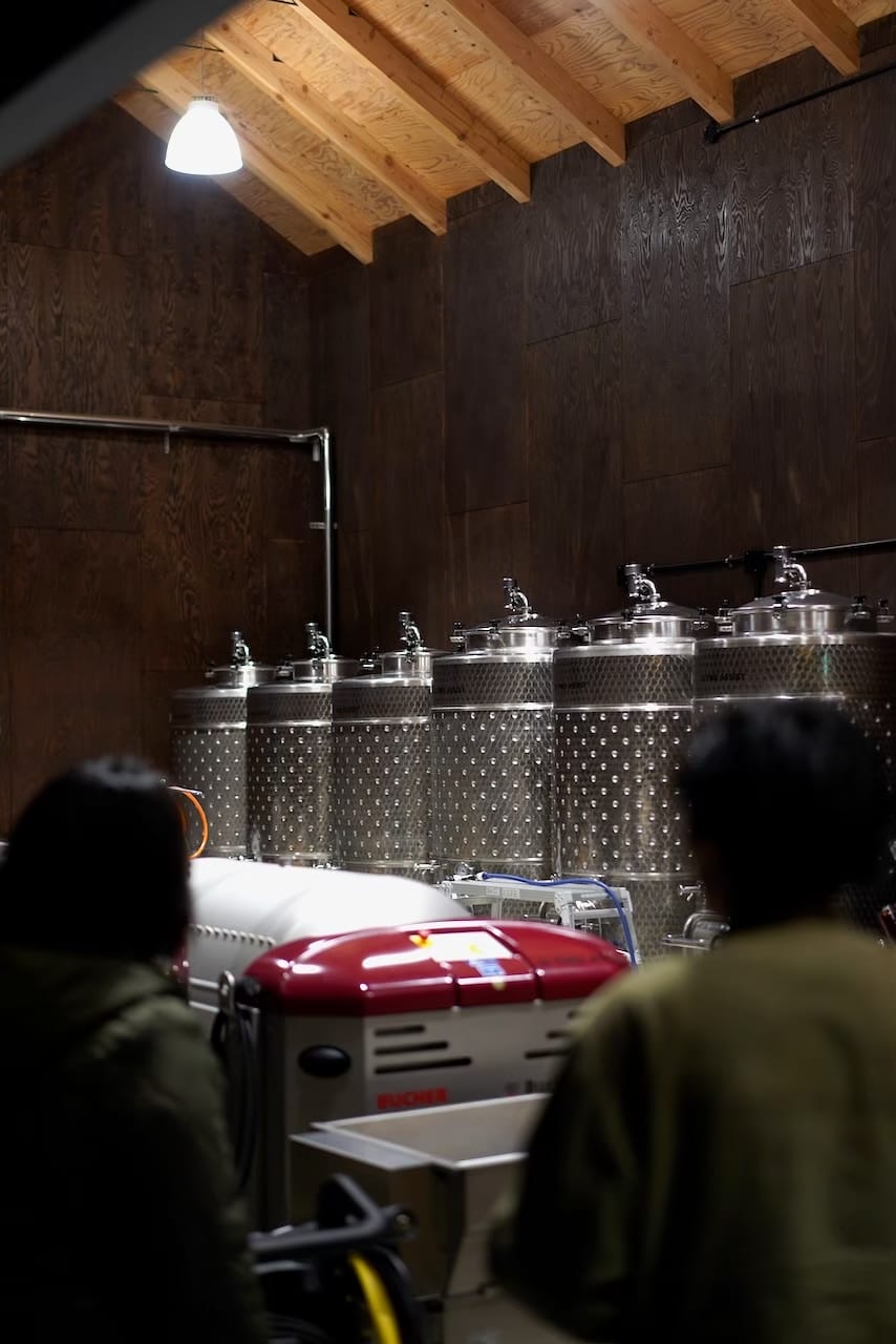 瀬戸内醸造所 | 三原ニューベリーA（ワイン）等