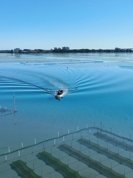 株式会社昂丸水産 | 浜名湖のり