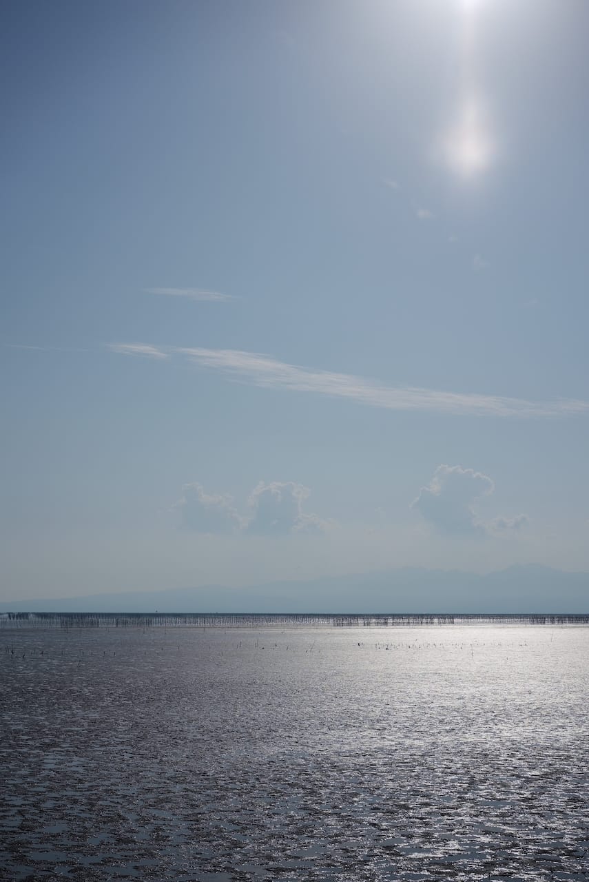 三福海苔株式会社 | 有明海苔