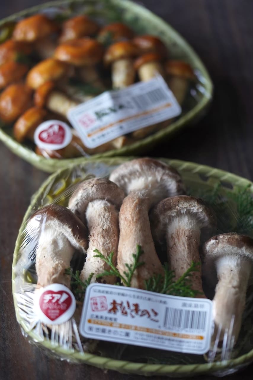 世羅きのこ園 | 松きのこ・松なめこ