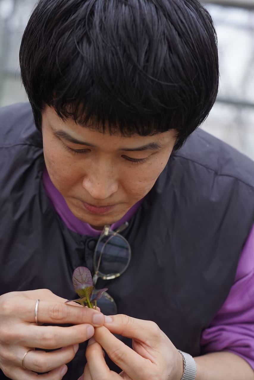 高掛農園 | マイクロリーフ