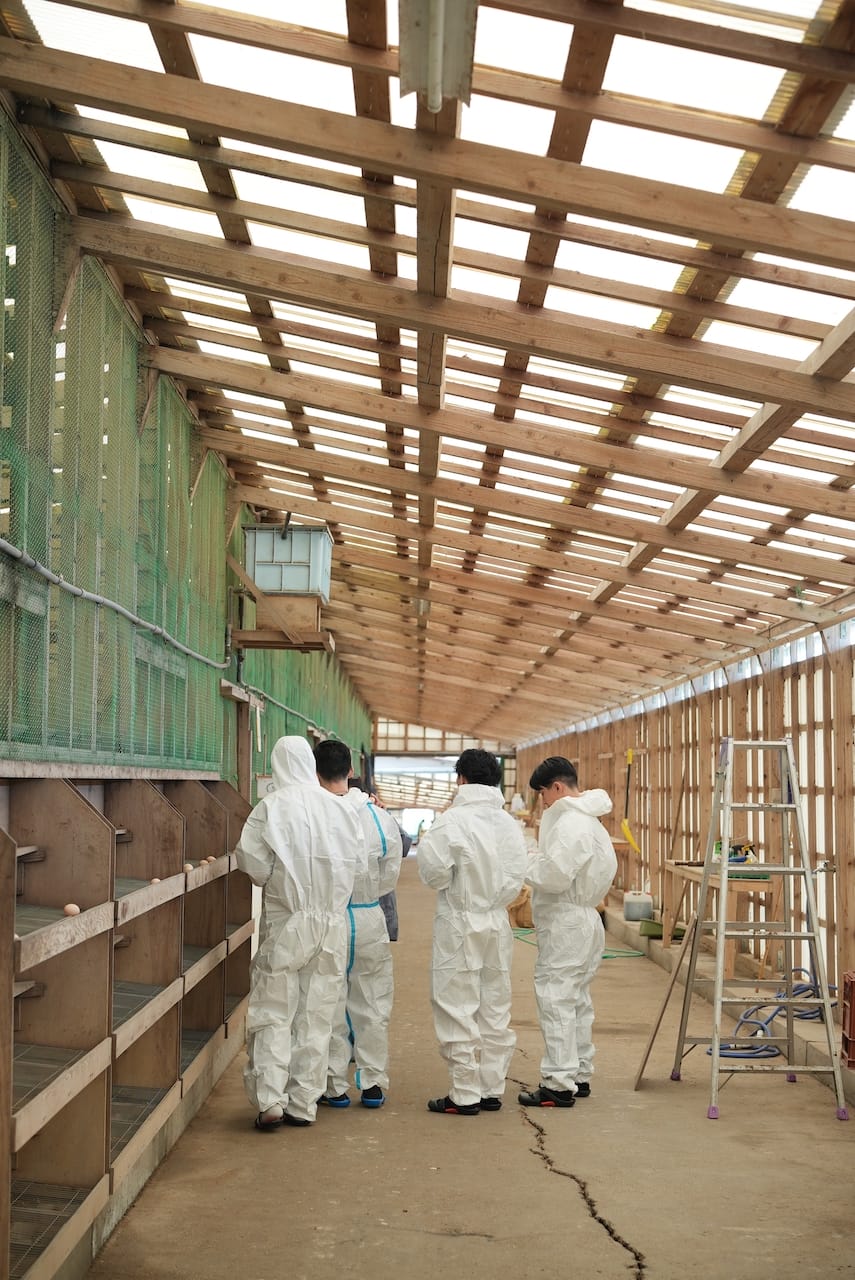 嶋崎博子養鶏場 | 地鶏（土佐ジロー）卵