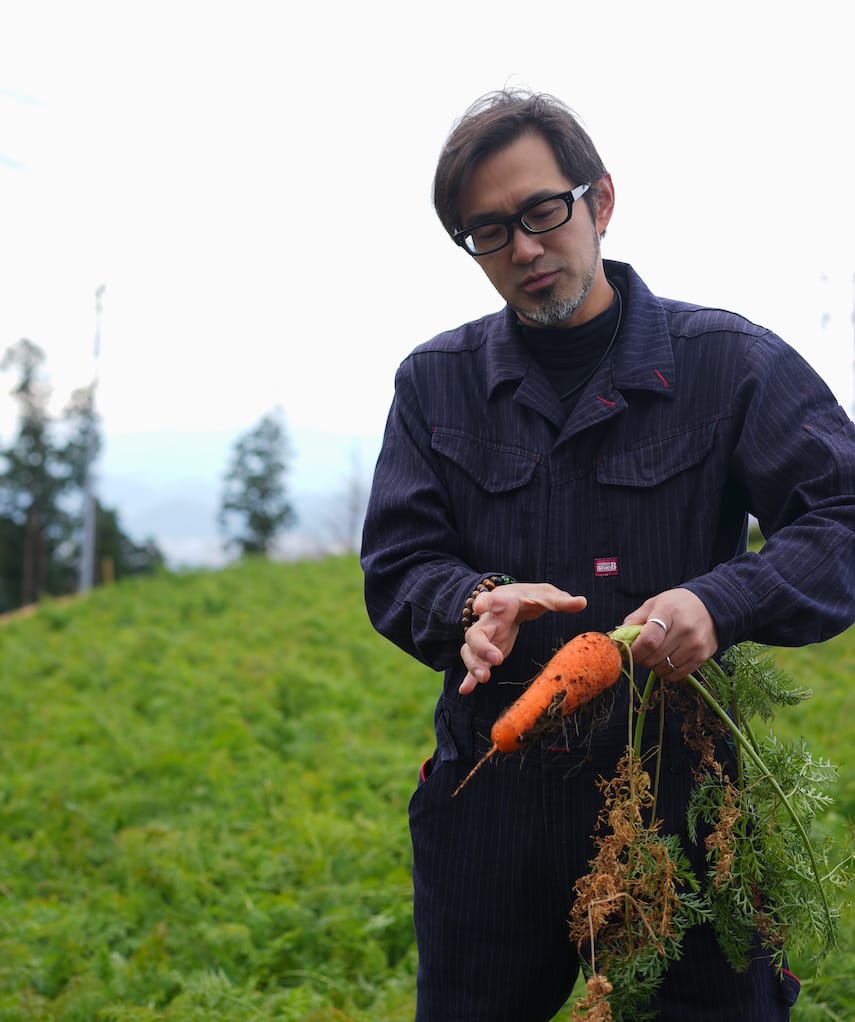 三島西麓野菜 | 三島人参