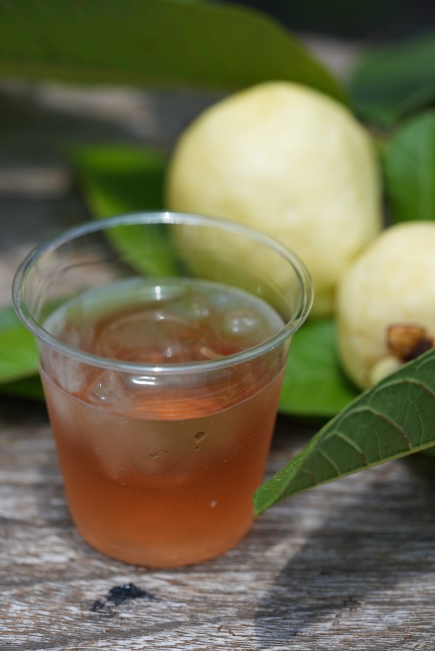 南国にしがわ農園 | グァバ