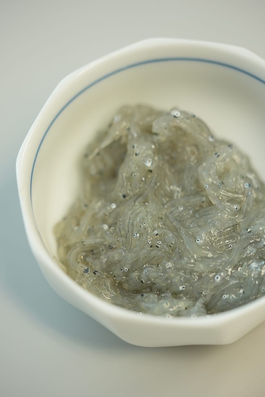 株式会社タカビシ食品 | ウツボ