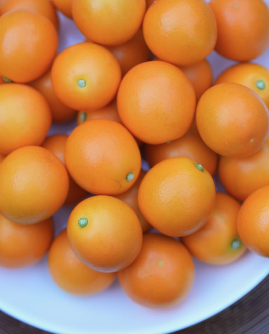 JA しみず 高部支店 | きんかん