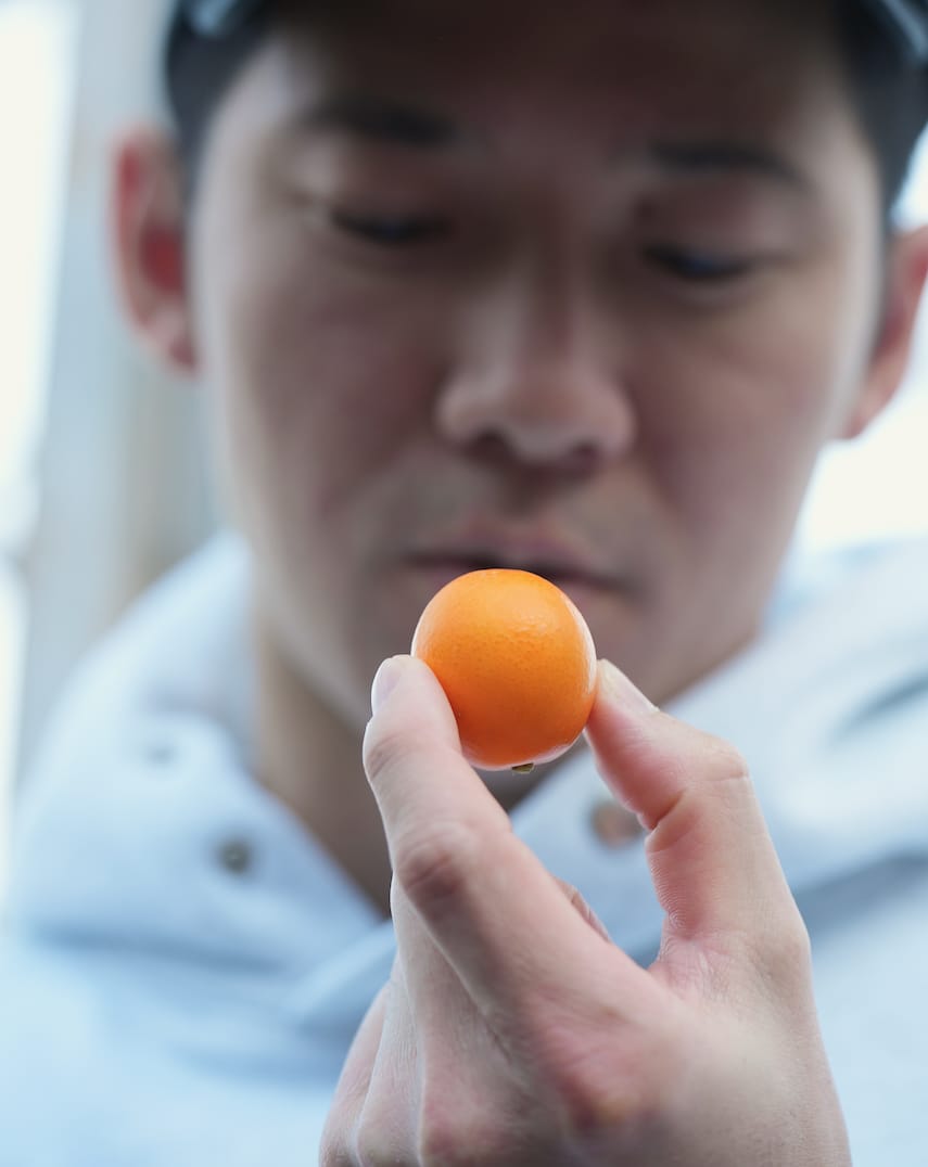 JA しみず 高部支店 | きんかん