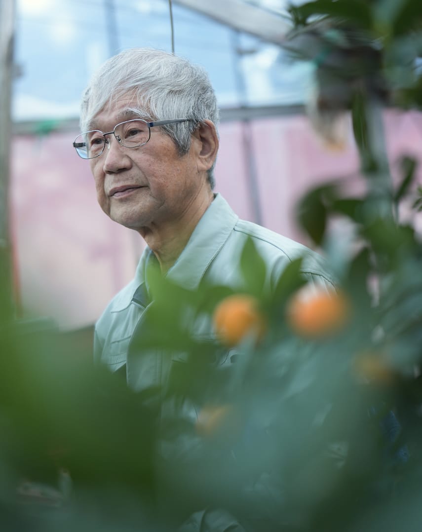 JA しみず 高部支店 | きんかん