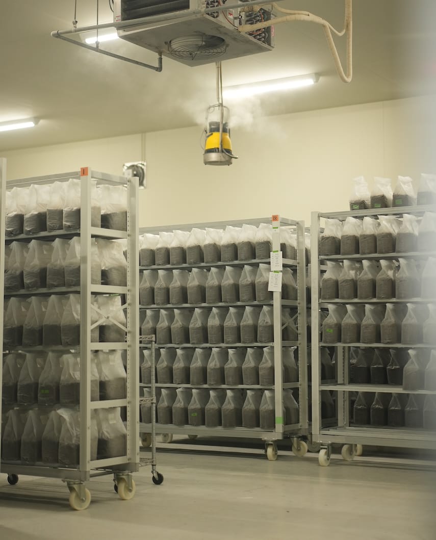 株式会社　大井川電機製作所 | はなびらたけ