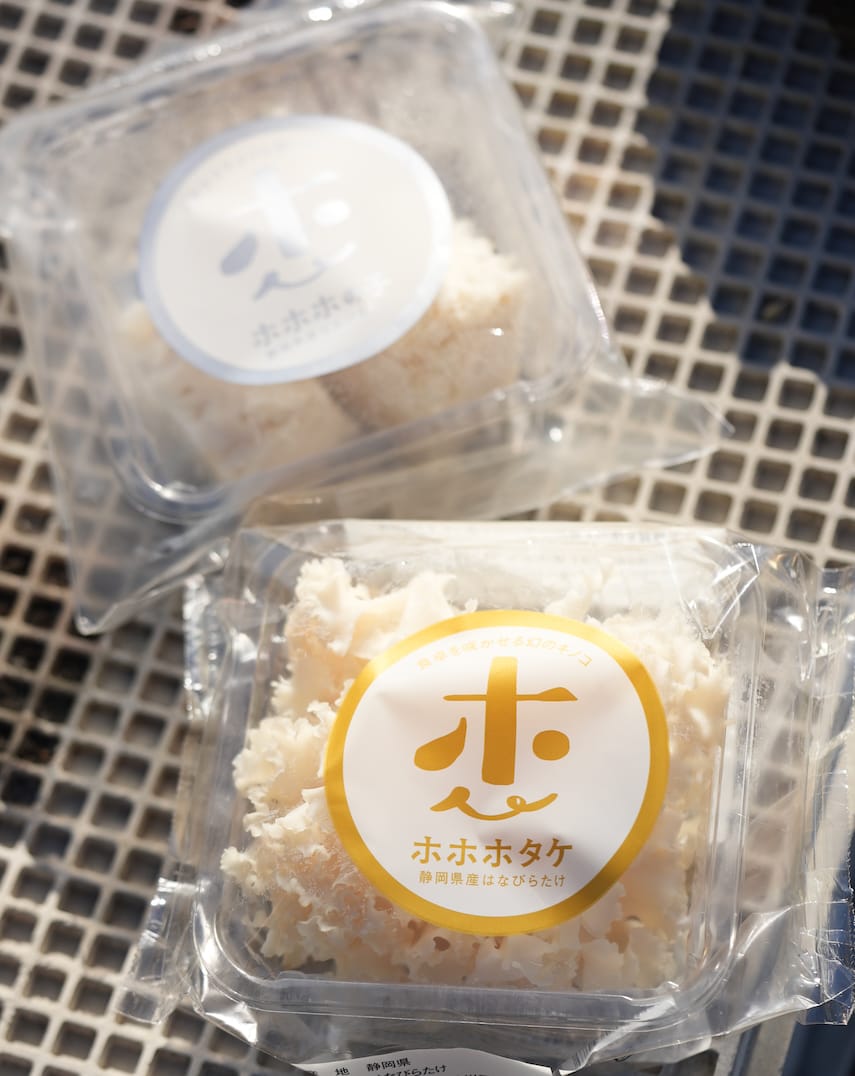 株式会社　大井川電機製作所 | はなびらたけ