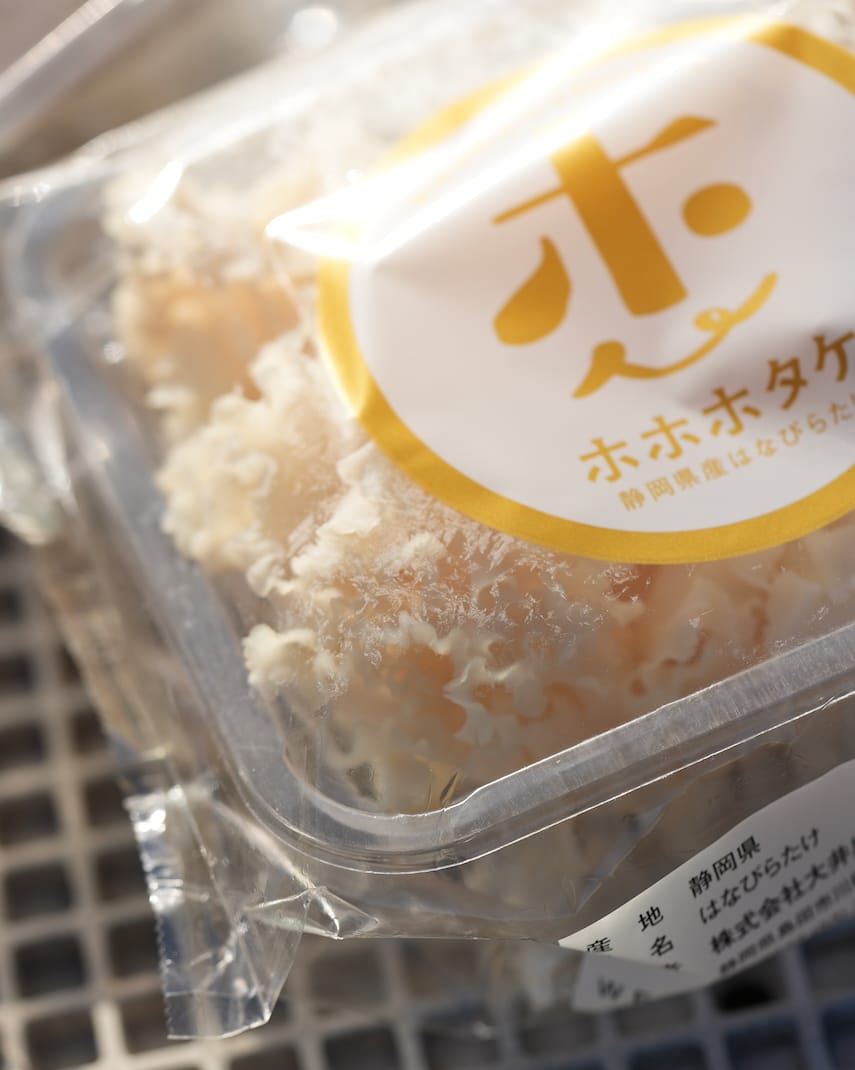 株式会社　大井川電機製作所 | はなびらたけ