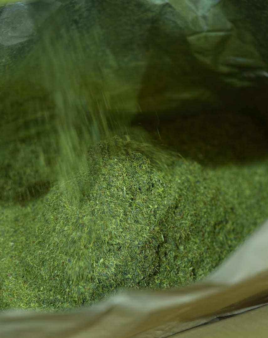 高柳製茶 | 牧之原茶