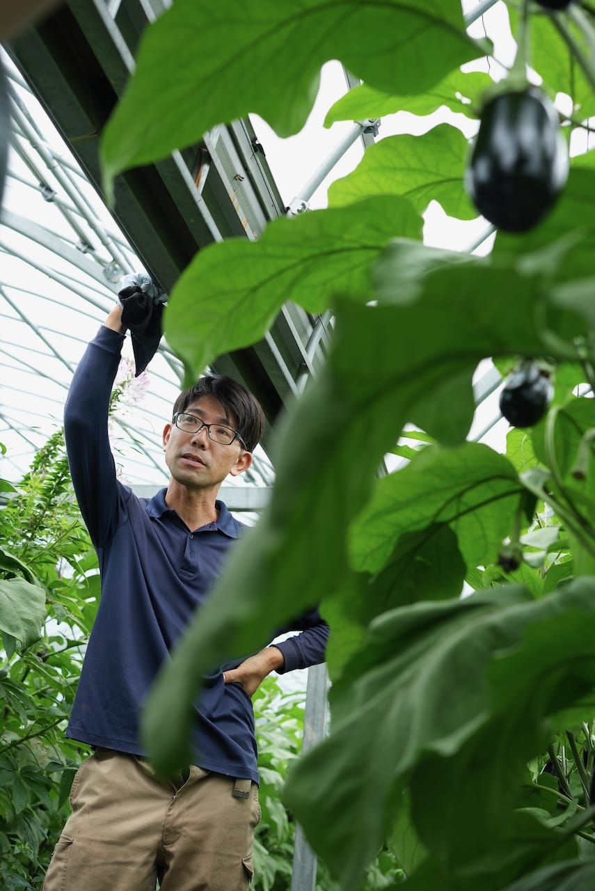 sanchikara土佐れいほく | 山菜を中心とした野菜