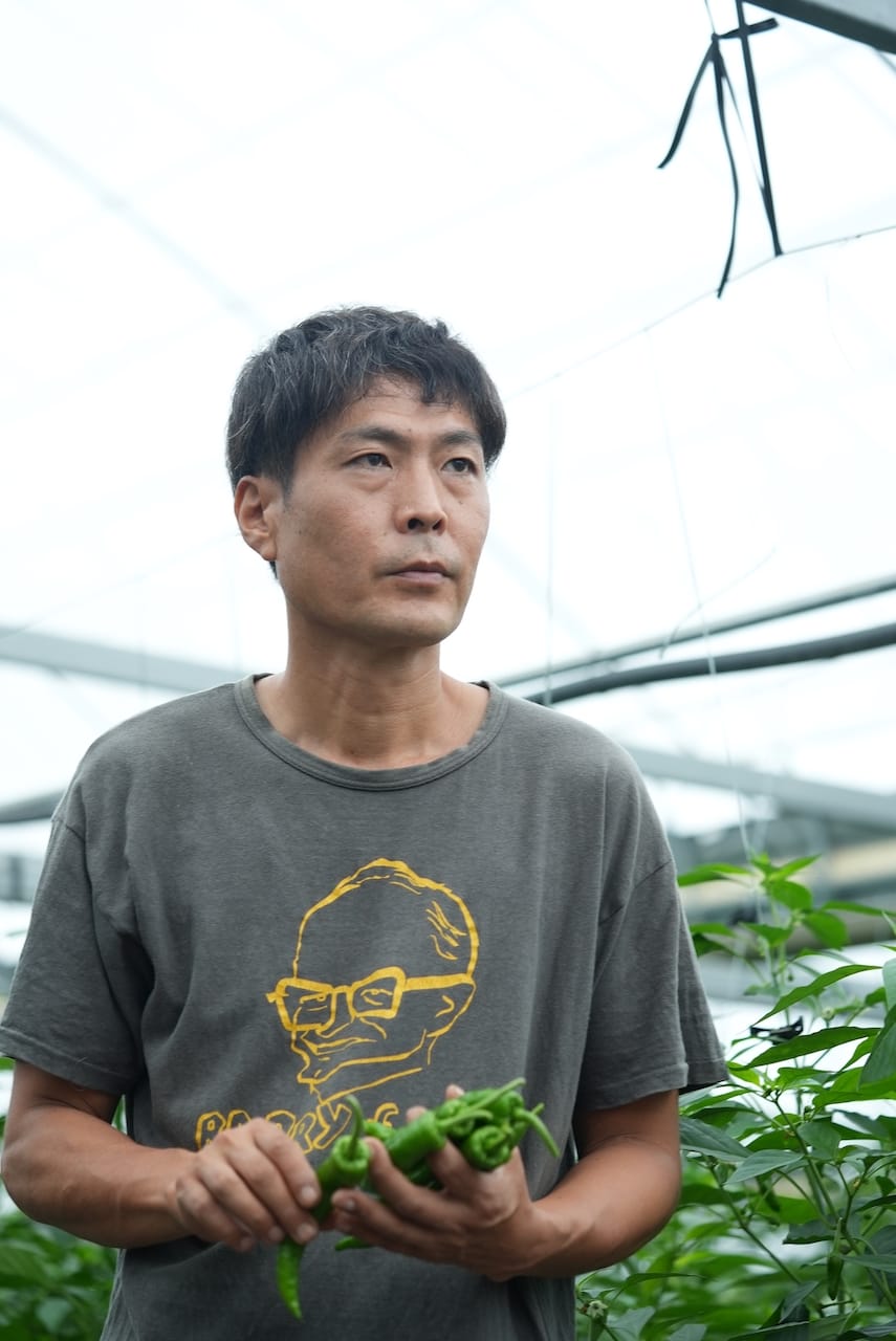 sanchikara土佐れいほく | 山菜を中心とした野菜