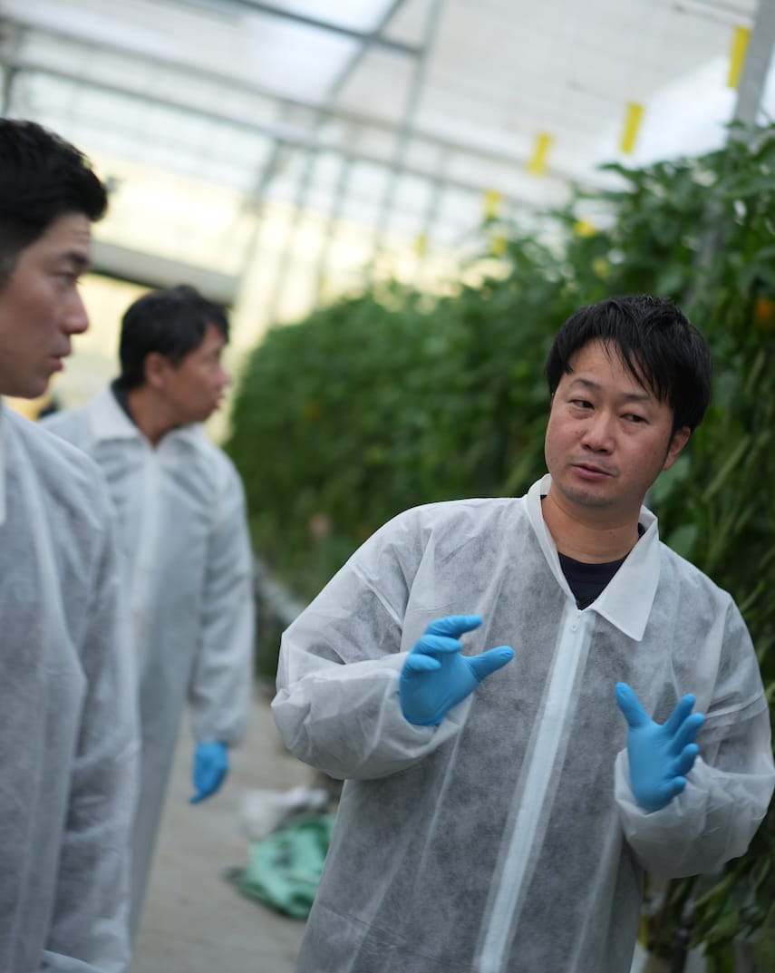 株式会社スマートアグリカルチャー磐田 | パプリカ