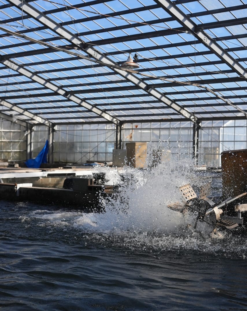 株式会社本多産業 | みかん鮎