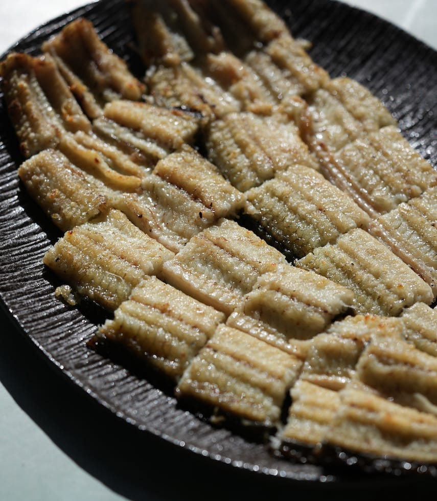 浜名湖幼魚漁業協同組合(丸浜入七養鰻場) | うなぎ