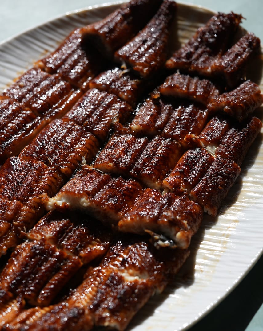 浜名湖幼魚漁業協同組合(丸浜入七養鰻場) | うなぎ