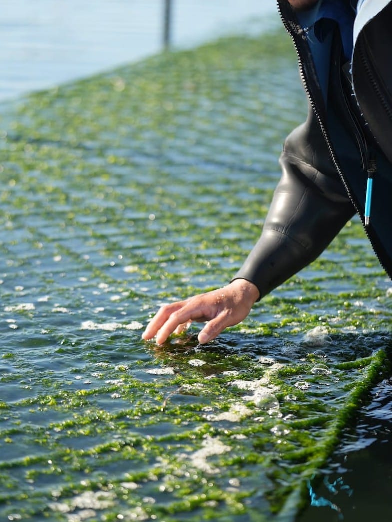 株式会社昂丸水産 | 浜名湖のり