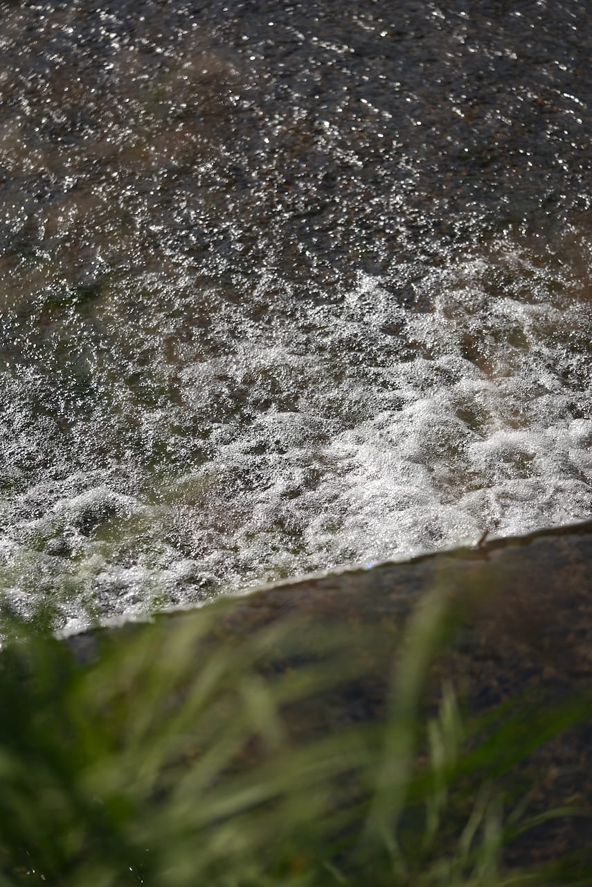 天山酒造 | 七田（日本酒）