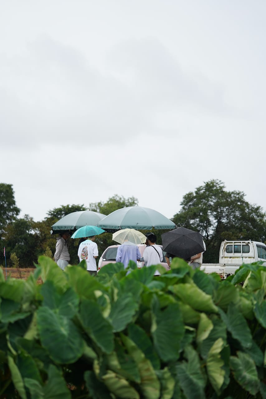 ベネズエーレ中山 | 国産のイタリア野菜
