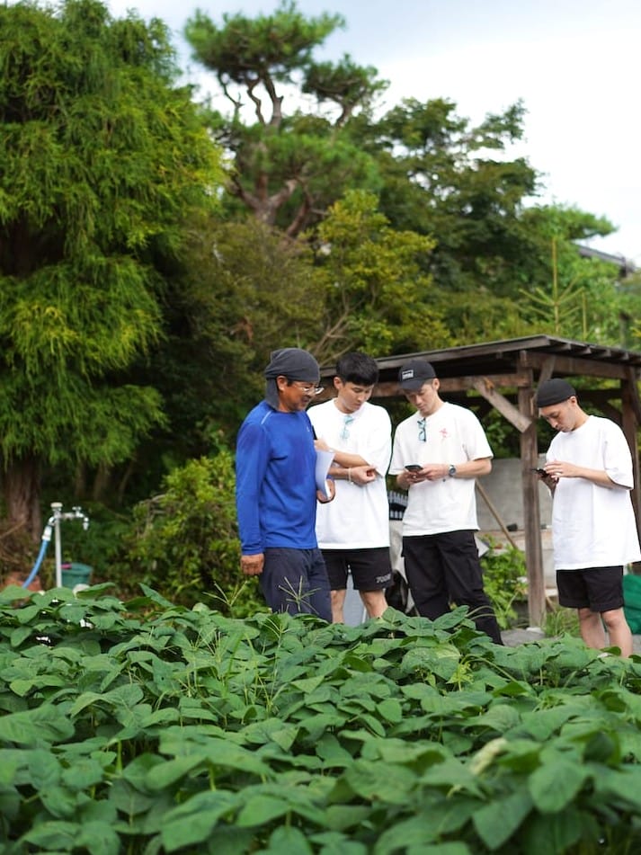 軽井沢サラダファーム | 小麦・ビーツ・とうもろこし・ズッキーニ・枝豆・ハーブなどの野菜