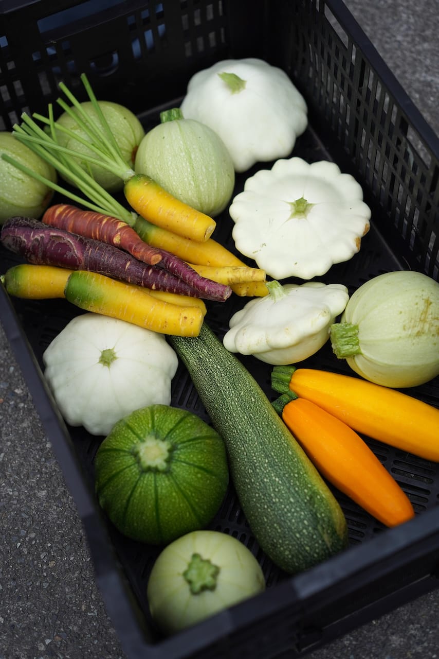 軽井沢サラダファーム | 小麦・ビーツ・とうもろこし・ズッキーニ・枝豆・ハーブなどの野菜