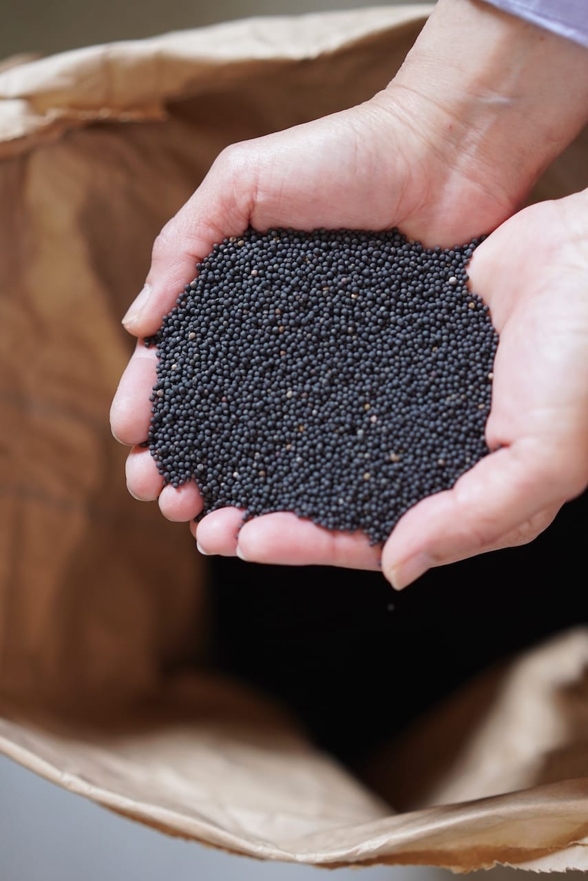 有限会社  坂本製油 | 純なたね油・しらしめ油・純つばき油・純ごま油