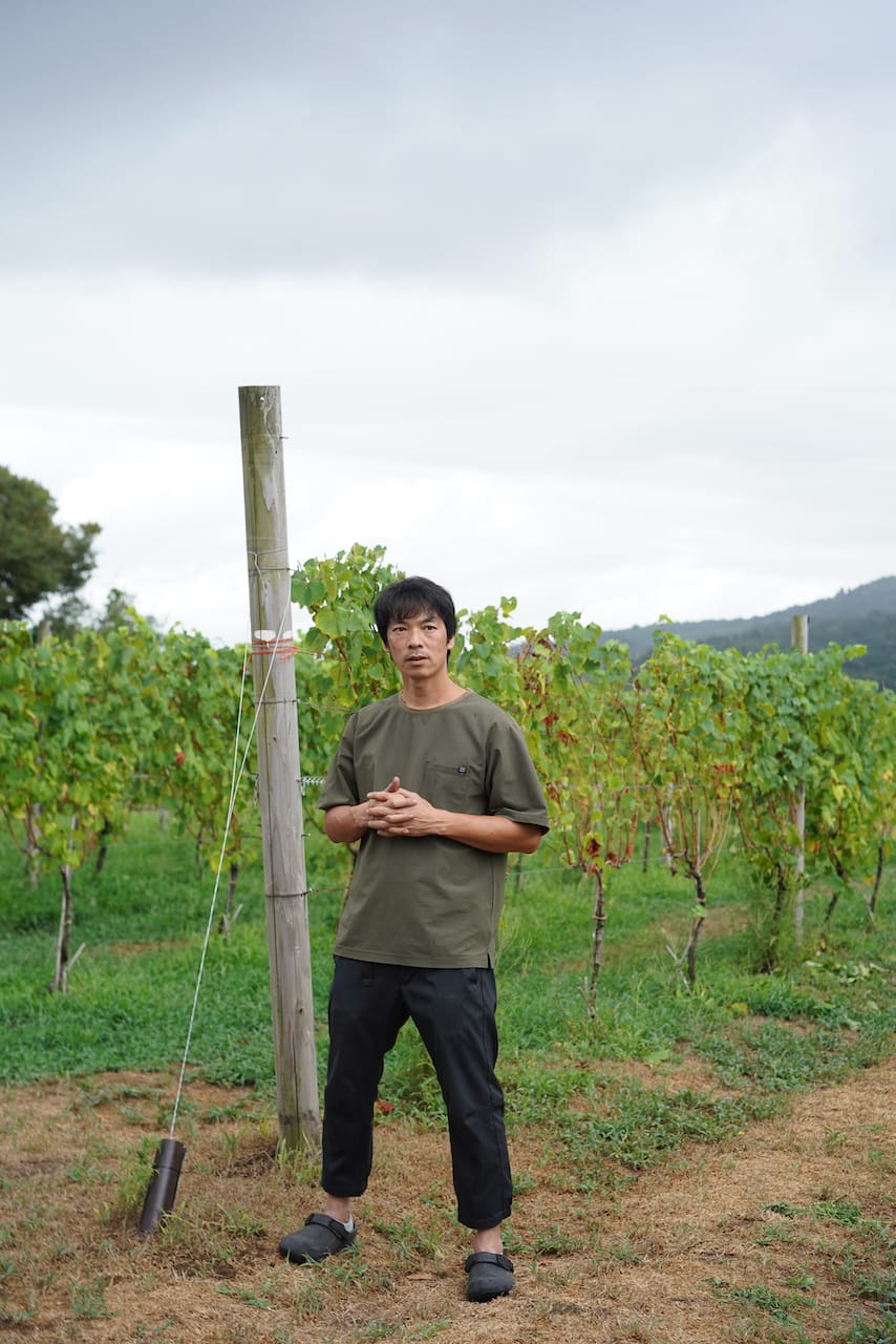 CAVE D’OCCI WINERY | ワイン　動物シリーズ・ファンピーなど