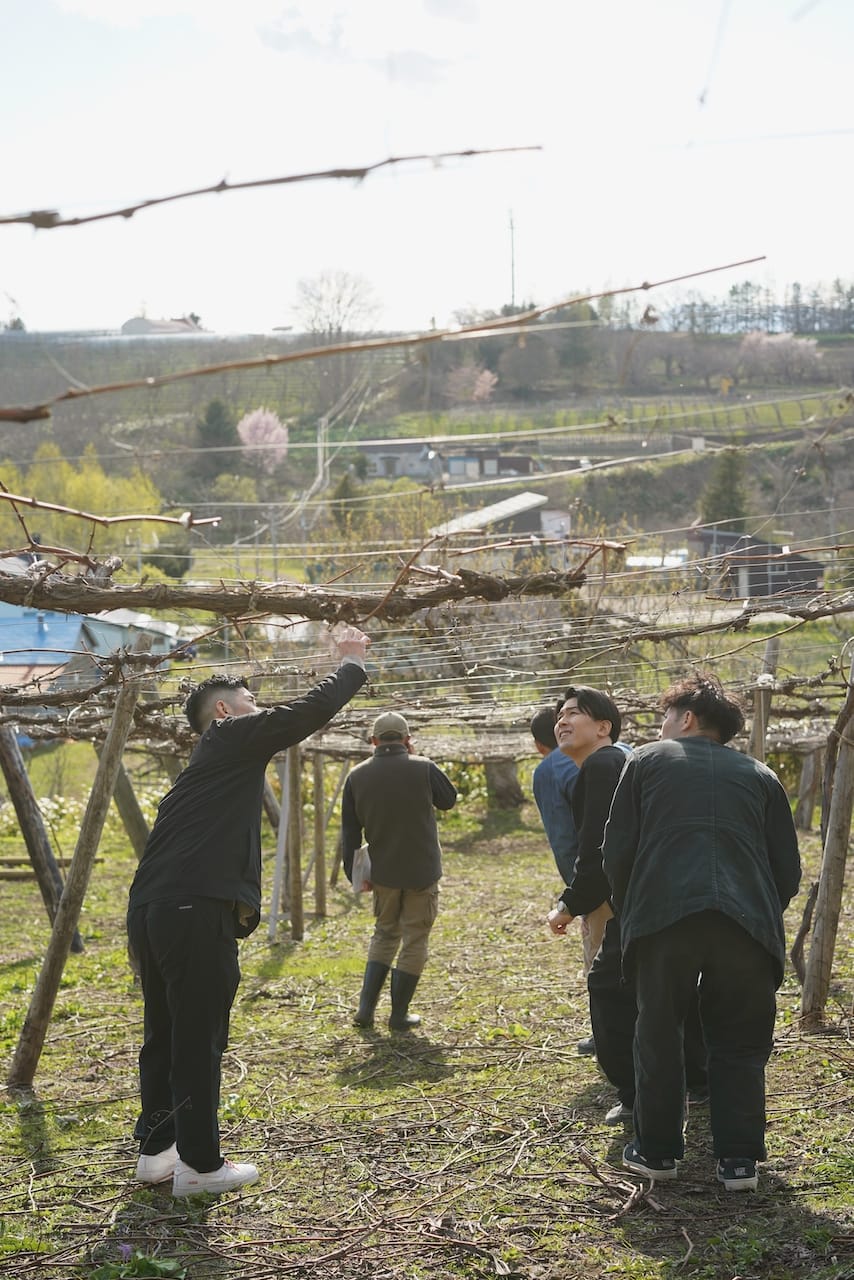 山田堂 | ワイン　Yoichi Muller