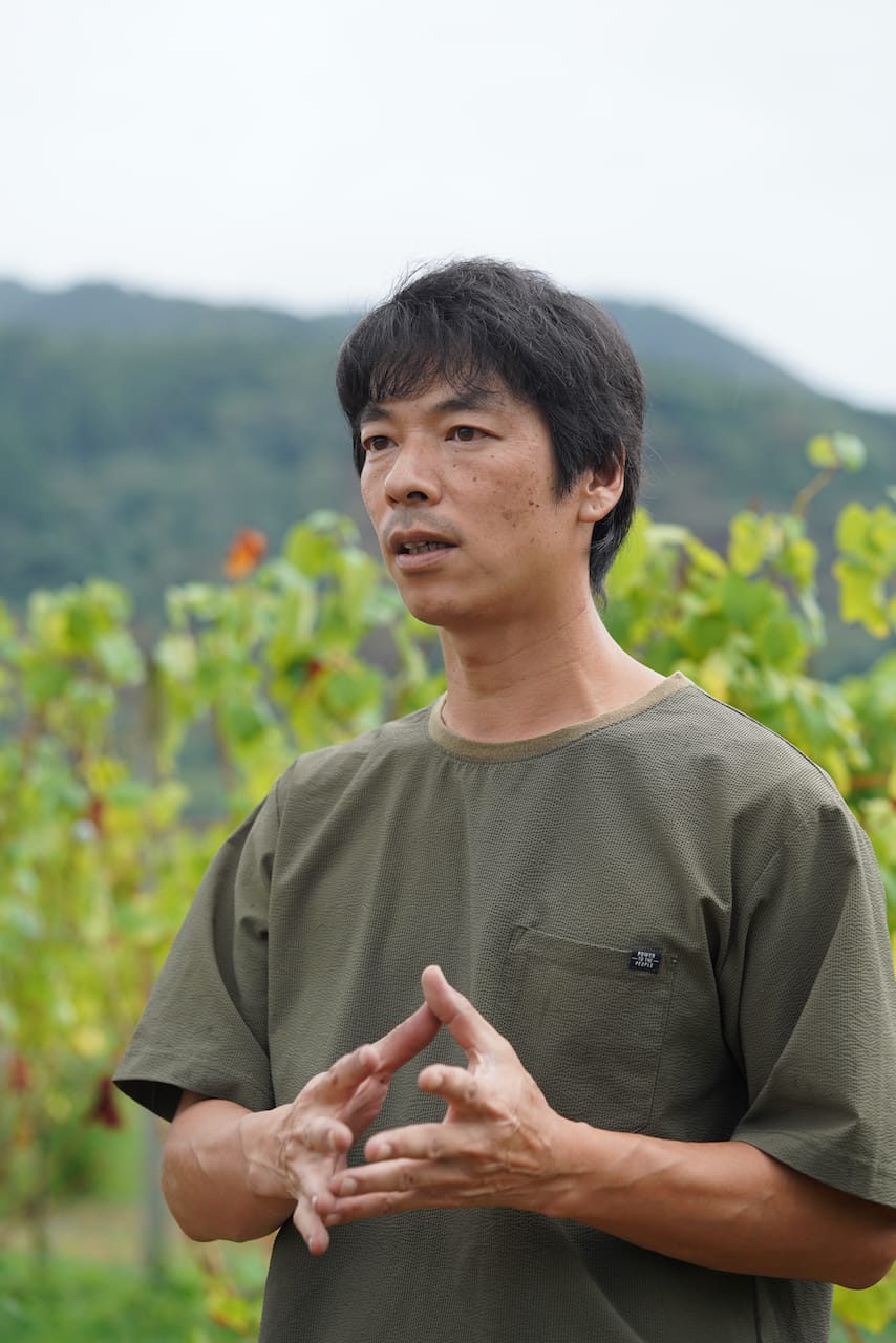 CAVE D’OCCI WINERY | ワイン　動物シリーズ・ファンピーなど