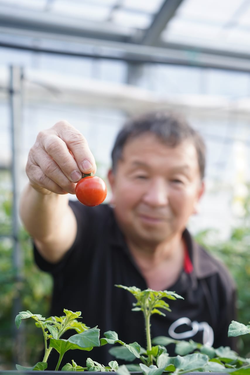 匠の里 紀州  假家英明さん | フルティカ（トマト）