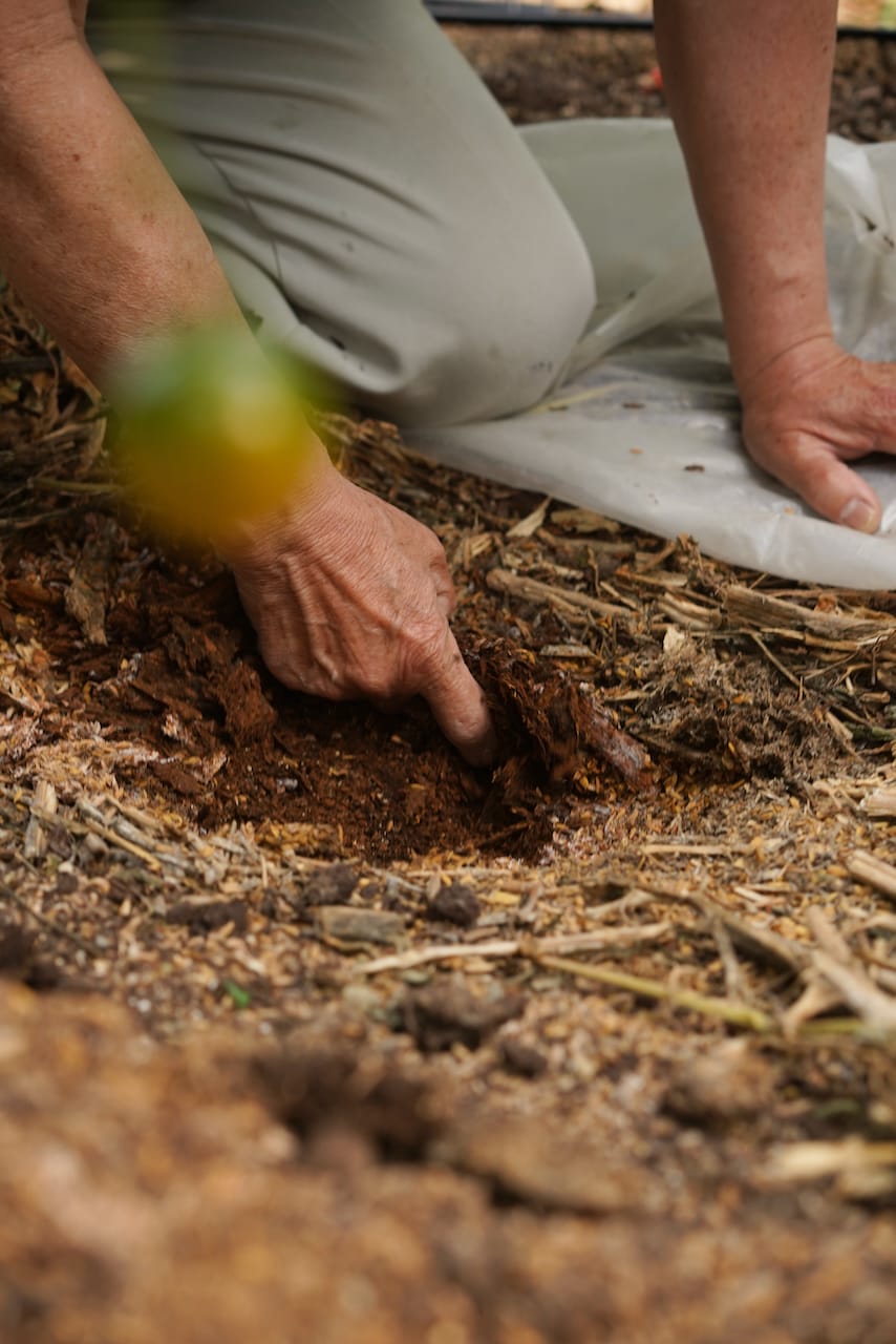 匠の里 紀州  假家英明さん | フルティカ（トマト）