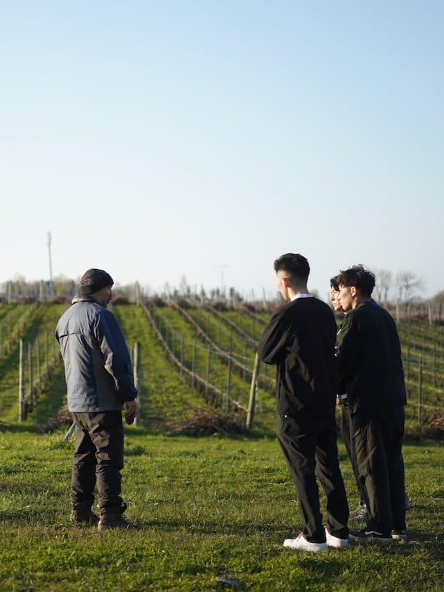 Domaine Takahiko（ドメーヌタカヒコ） | ワイン　ナナ・ツ・モリ