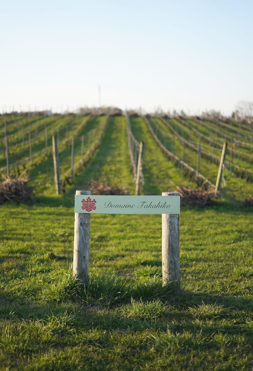 Domaine Takahiko（ドメーヌタカヒコ） | ワイン　ナナ・ツ・モリ
