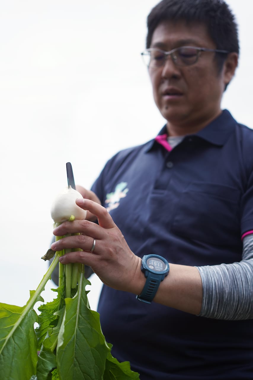 ゆうき青森農業協同組合 | 野辺地葉つきこかぶ