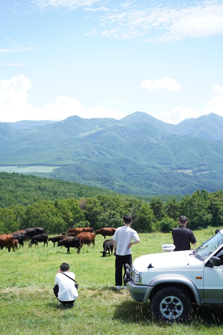 ダボス牧場 | 肉牛・肉羊