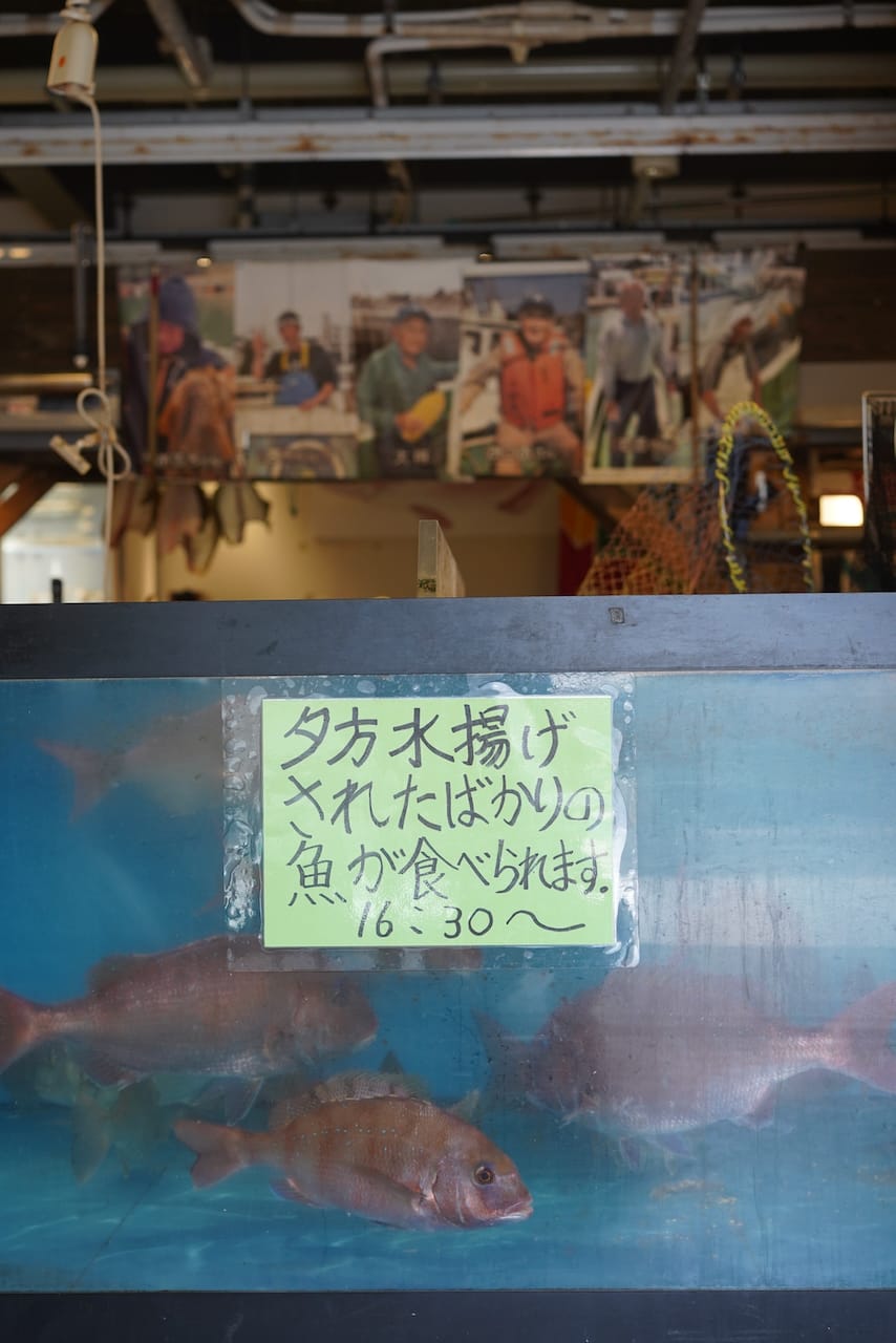 フィッシャーマンズワーフ白浜 | ひろめ（海藻）