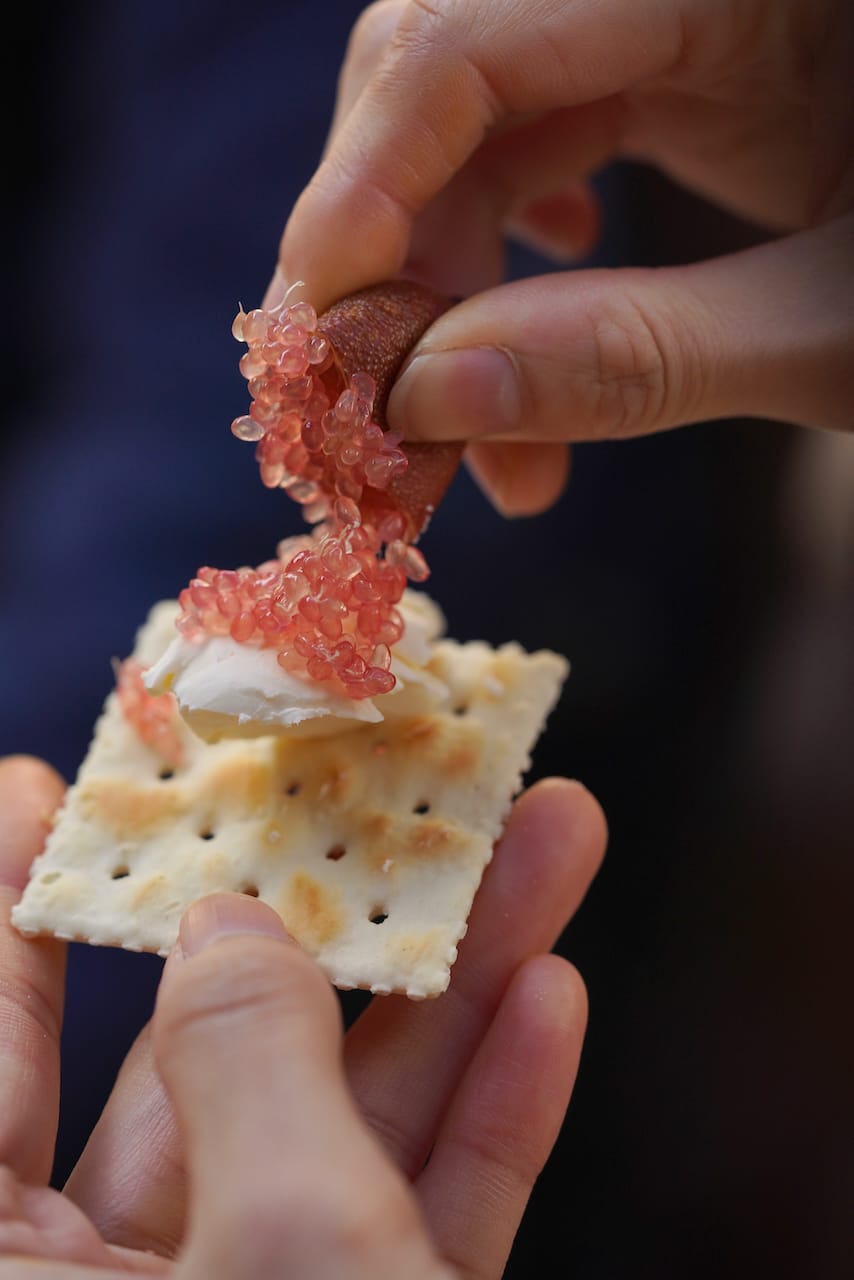 田上きのこ園 | フィンガーライム・きのこ