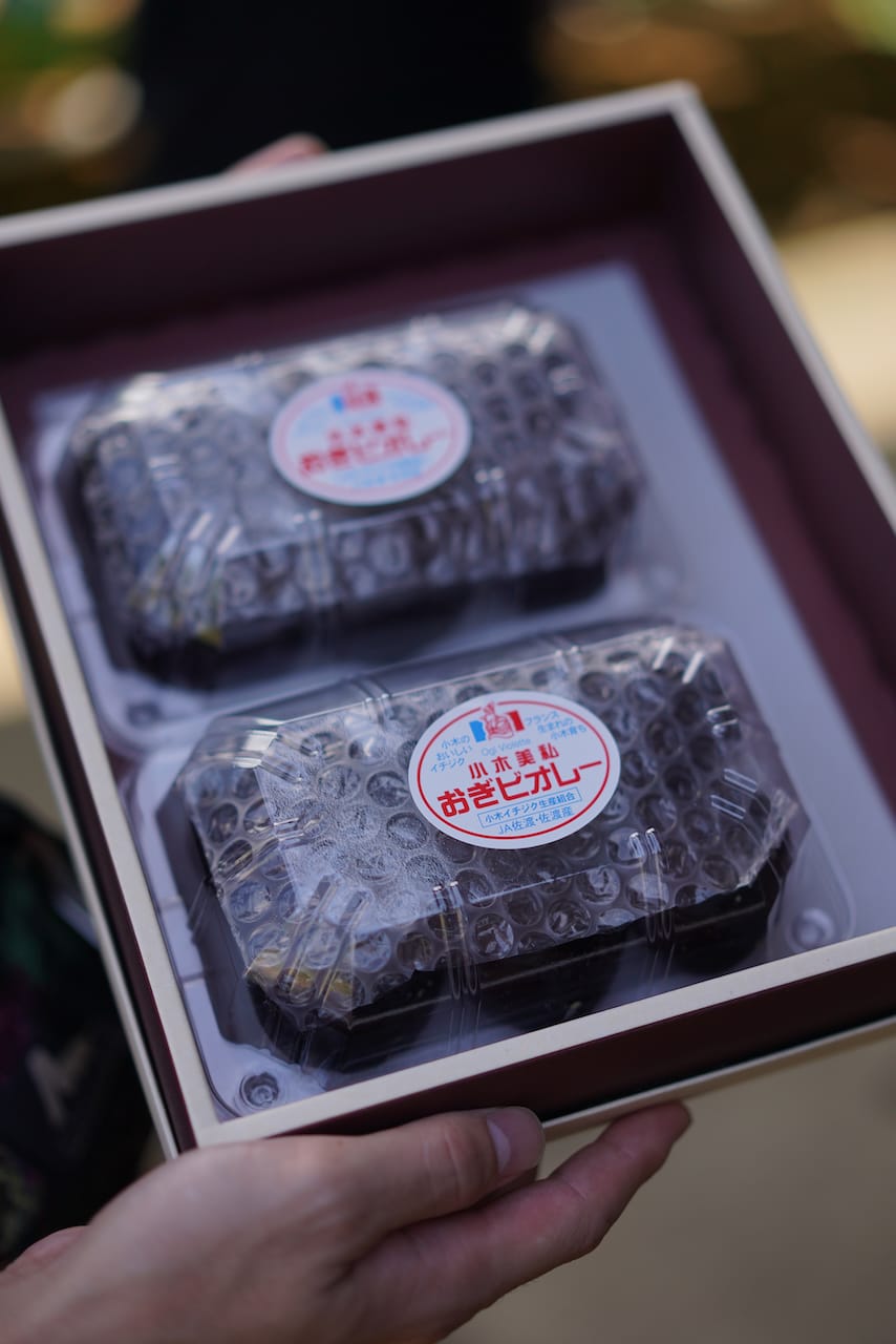 おぎビオレー | ビオレー（黒イチジク）