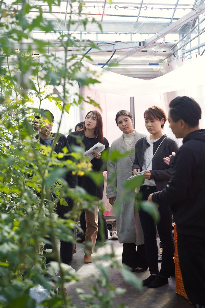 POMONA FARM | ミニトマト・マイクロリーフ