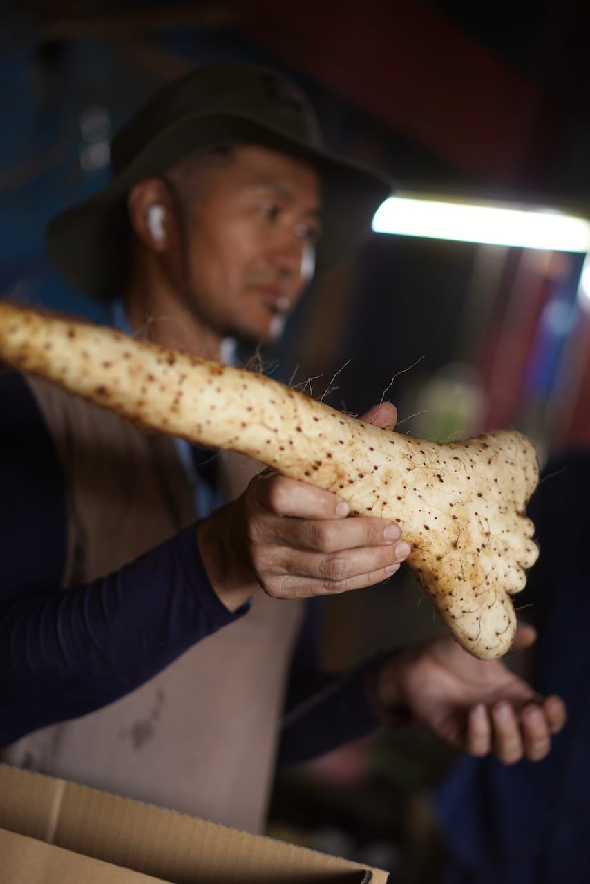 とよかわ農園 | ながいも・生にんにく