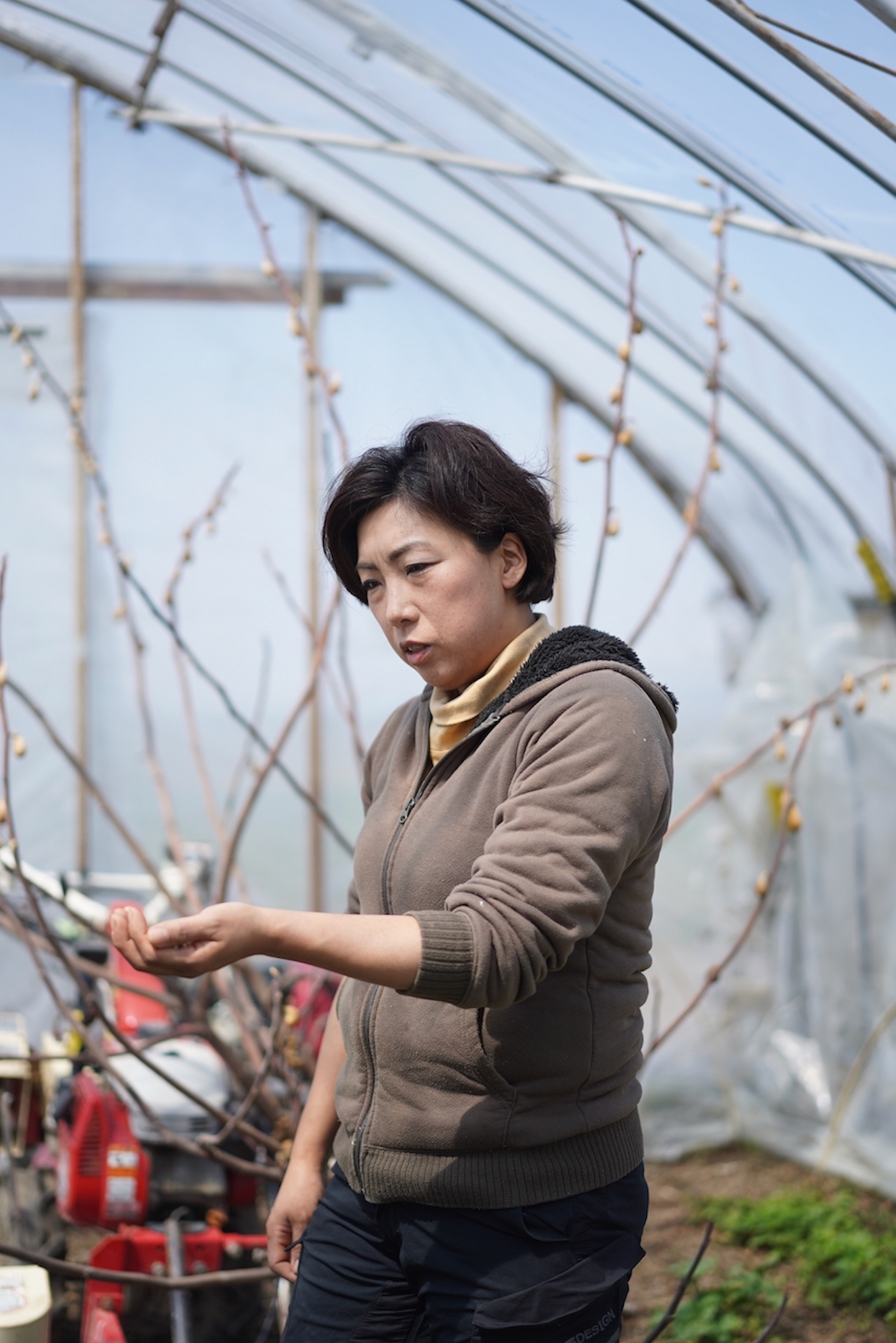 (有)佐々木ファーム | 熟成人参・雪下人参ジュース・干し大根・ドライトマト