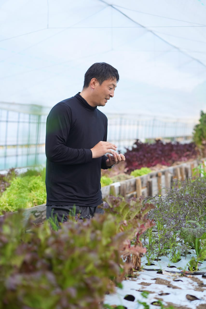 みどりの里 | ベビーリーフ・生にんにく