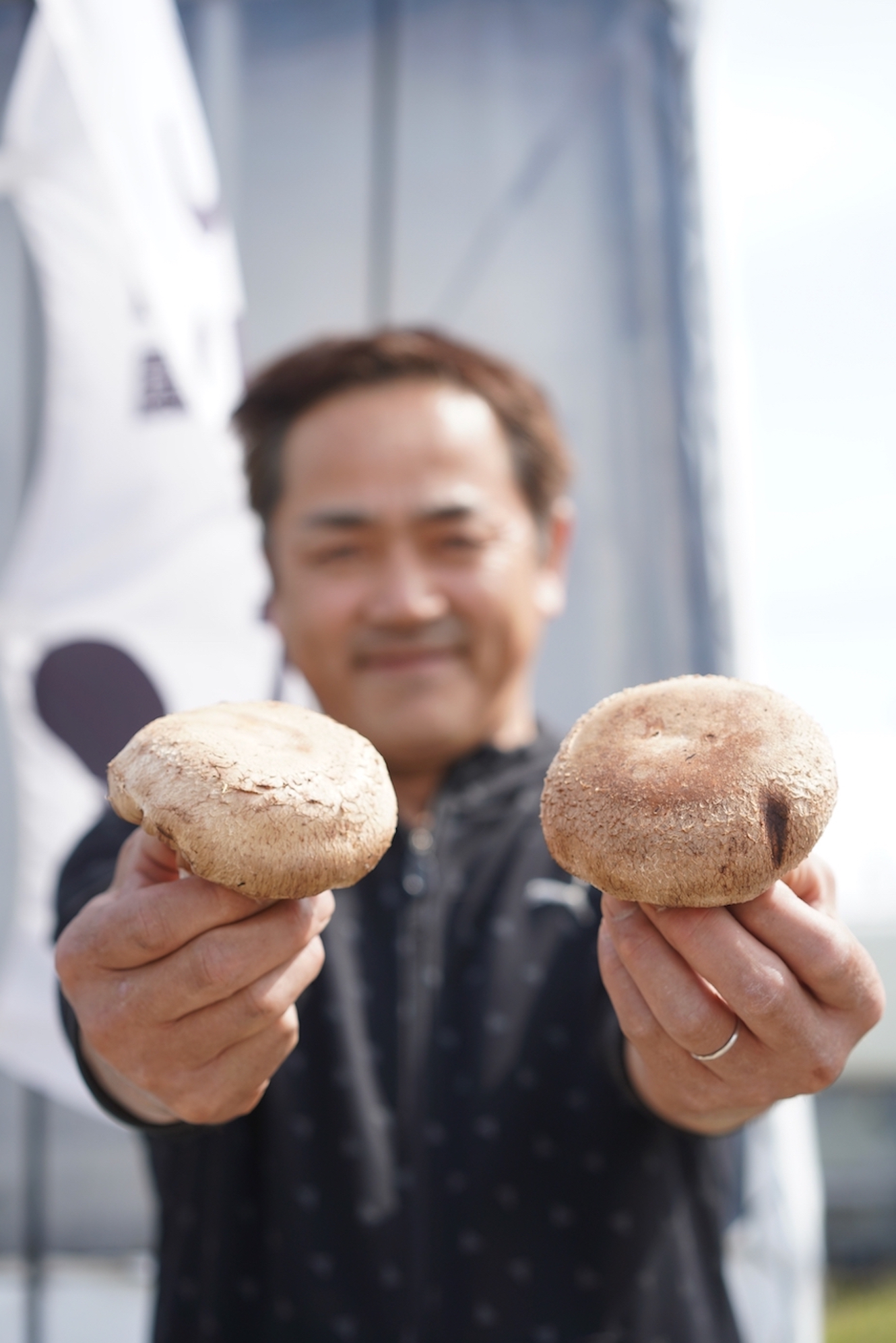 有限会社 福田農園 | 王様しいたけ
