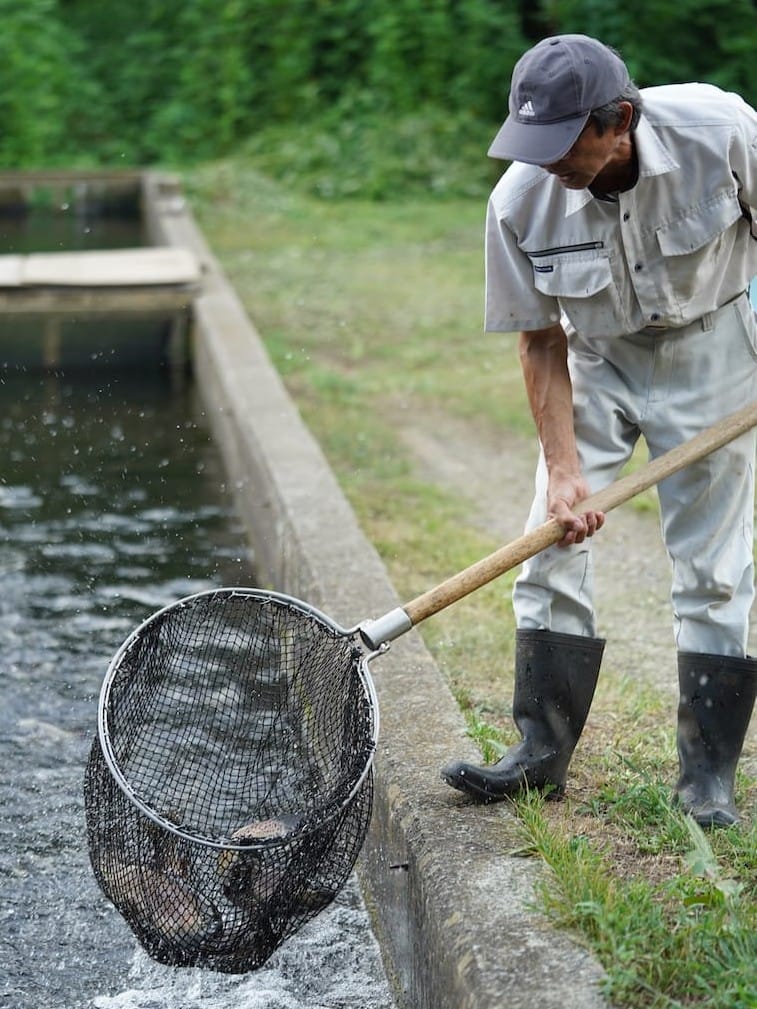 八千穂漁業 | 信州サーモン