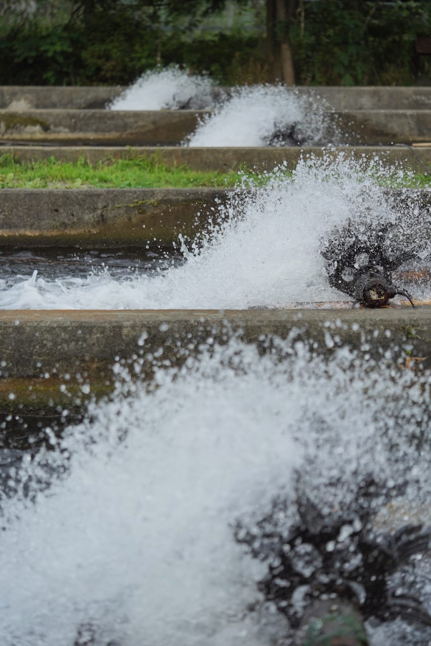 八千穂漁業 | 信州サーモン