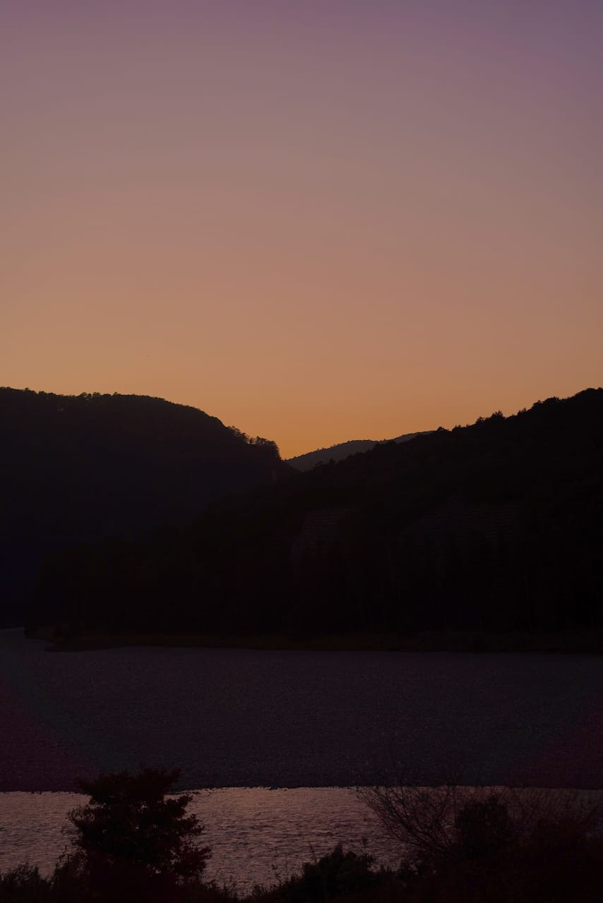 熊野地鶏 | 地鶏